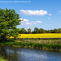Buy canvas prints of Yellow rapeseed field next to Union Canal by Angus McComiskey