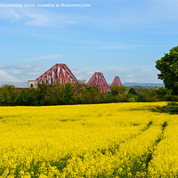 Buy canvas prints of Yellow rapeseed field with Forth Bridges by Angus McComiskey