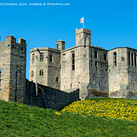 Buy canvas prints of Warkworth Castle springtime by Angus McComiskey