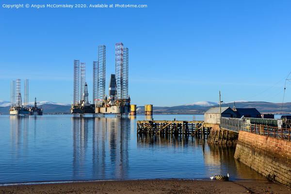 Decommissioned oil rigs off Cromarty harbour Picture Board by Angus McComiskey