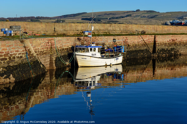 Fishing boat tied up in Cromarty harbour Picture Board by Angus McComiskey