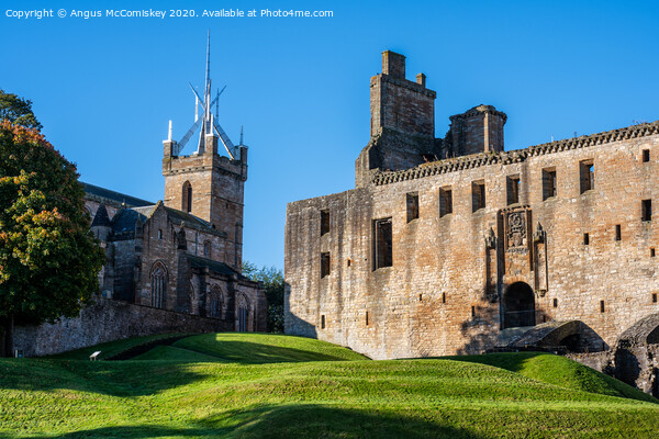 St Michael's Parish Church and Linlithgow Palace Picture Board by Angus McComiskey
