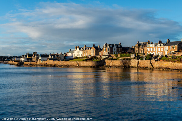 Seafront at Scottish coastal town of Elie Picture Board by Angus McComiskey