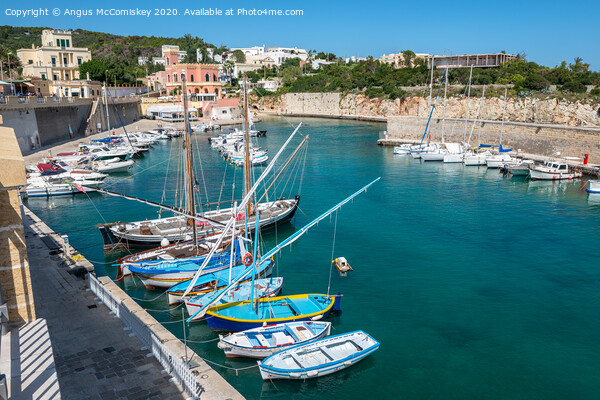 Porto Tricase harbour in Puglia, Southern Italy Picture Board by Angus McComiskey