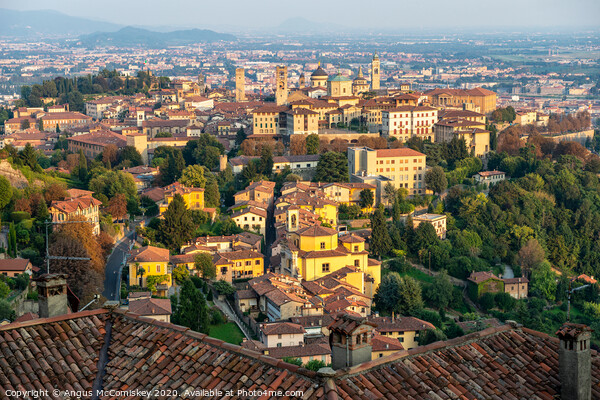 Across the rooftops – Bergamo, Lombardy Picture Board by Angus McComiskey