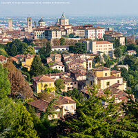 Buy canvas prints of View across Bergamo Citta Alta (upper town) by Angus McComiskey