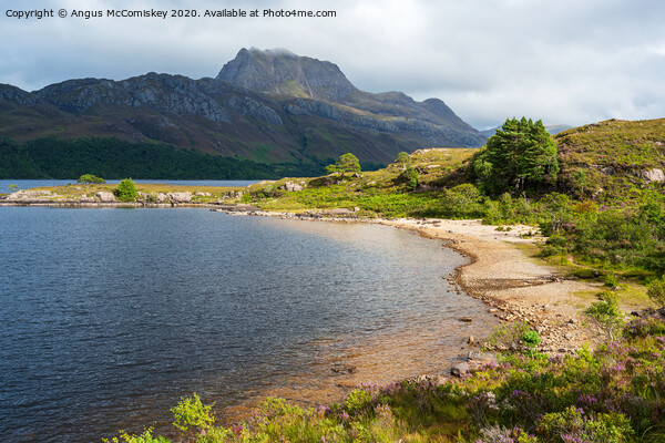 Loch Maree beach and Slioch Picture Board by Angus McComiskey