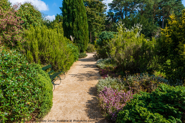 Winter garden at Belsay Hall Northumberland Picture Board by Angus McComiskey