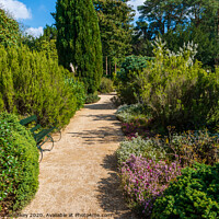 Buy canvas prints of Winter garden at Belsay Hall Northumberland by Angus McComiskey