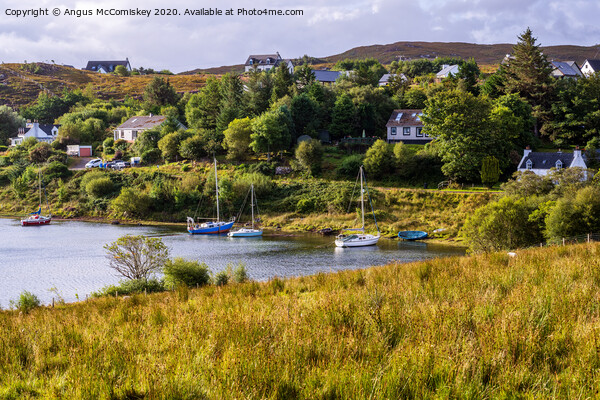 Boats tied up at Badachro village Picture Board by Angus McComiskey