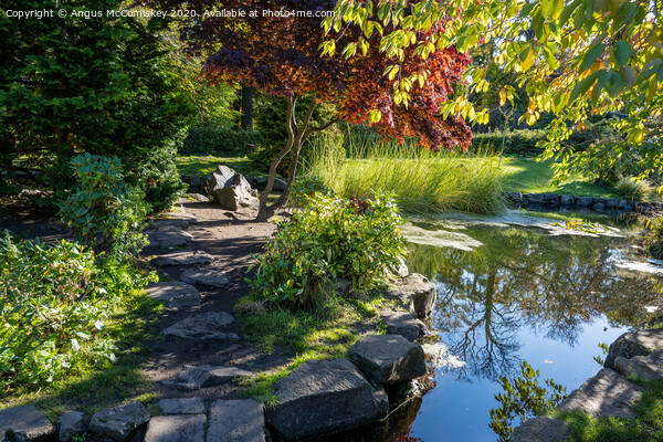 Lauriston Castle Japanese Garden, Edinburgh Picture Board by Angus McComiskey