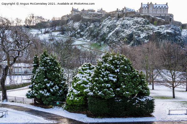 Princes Street Gardens Edinburgh in snow Picture Board by Angus McComiskey