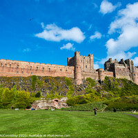 Buy canvas prints of Kite flyer at Bamburgh Castle by Angus McComiskey