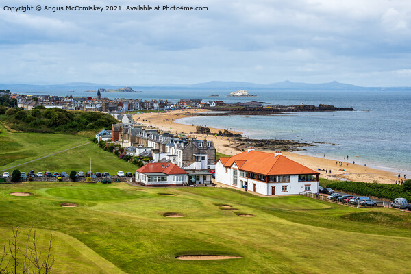 Glen Golf Course North Berwick Picture Board by Angus McComiskey