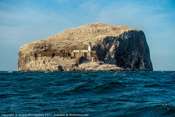 Approaching the Bass Rock Picture Board by Angus McComiskey