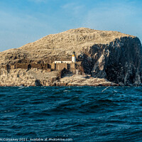 Buy canvas prints of Approaching the Bass Rock by Angus McComiskey