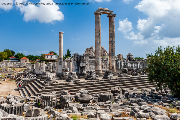 Greek Temple of Apollo at Didyma, Turkey Picture Board by Angus McComiskey