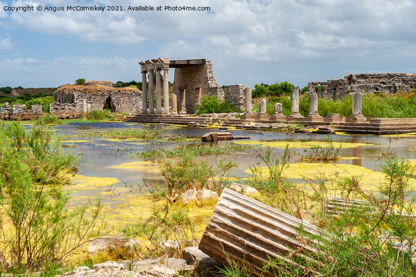 Ruins of Ionic Stoa at Miletus, Turkey Picture Board by Angus McComiskey