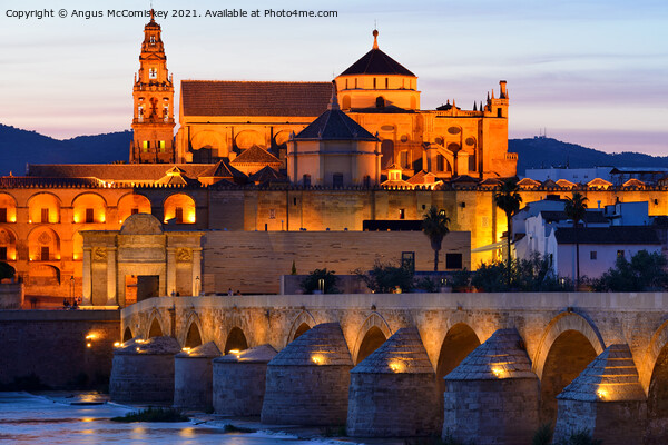 Cordoba Cathedral Mosque and Roman Bridge at dusk Picture Board by Angus McComiskey
