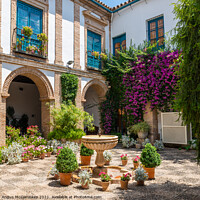 Buy canvas prints of Gate Courtyard in Palacio de Viana, Cordoba by Angus McComiskey