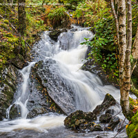 Buy canvas prints of Woodland waterfall Trossachs, Scotland by Angus McComiskey
