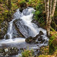 Buy canvas prints of Autumn woodland Trossachs, Scotland by Angus McComiskey