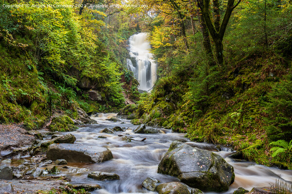 Waterfall in Queen Elizabeth Forest Park Aberfoyle Picture Board by Angus McComiskey