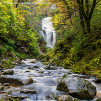 Buy canvas prints of Waterfall in Queen Elizabeth Forest Park Aberfoyle by Angus McComiskey