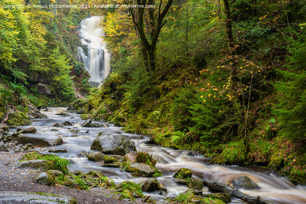 Queen Elizabeth Forest Park waterfall, Aberfoyle Picture Board by Angus McComiskey