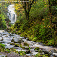 Buy canvas prints of Queen Elizabeth Forest Park waterfall, Aberfoyle by Angus McComiskey