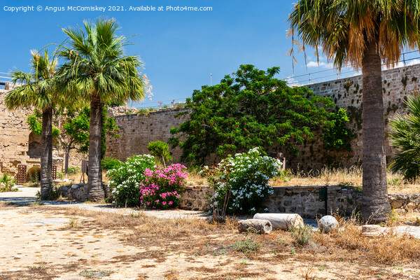 Courtyard of Kyrenia Castle, Northern Cyprus Picture Board by Angus McComiskey