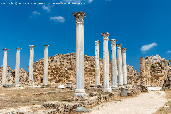 Roman columns at Salamis, Northern Cyprus Picture Board by Angus McComiskey
