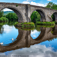 Buy canvas prints of Old Stirling Bridge with swans by Angus McComiskey