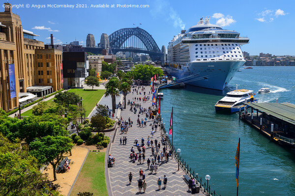 Cruise ship at Circular Quay in Sydney Harbour Picture Board by Angus McComiskey