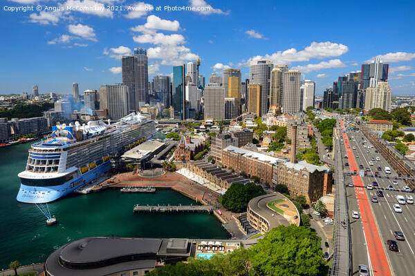 Elevated view of Circular Quay in Sydney Harbour Picture Board by Angus McComiskey