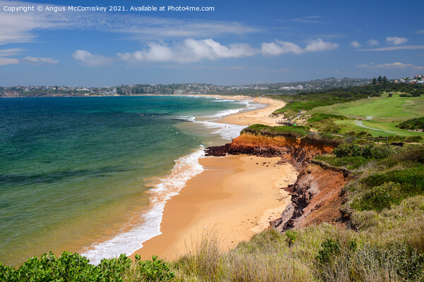 Long Reef Beach at Collaroy, Sydney Picture Board by Angus McComiskey