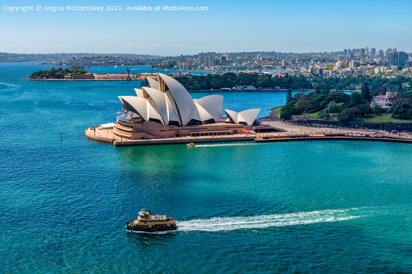 Sydney Opera House and ferry Picture Board by Angus McComiskey