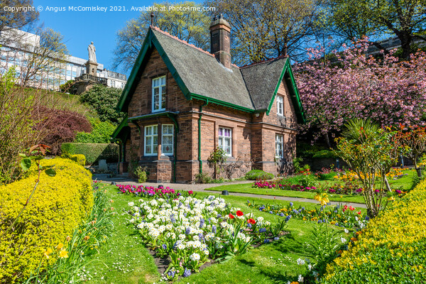 The Gardener's Cottage, Edinburgh Picture Board by Angus McComiskey