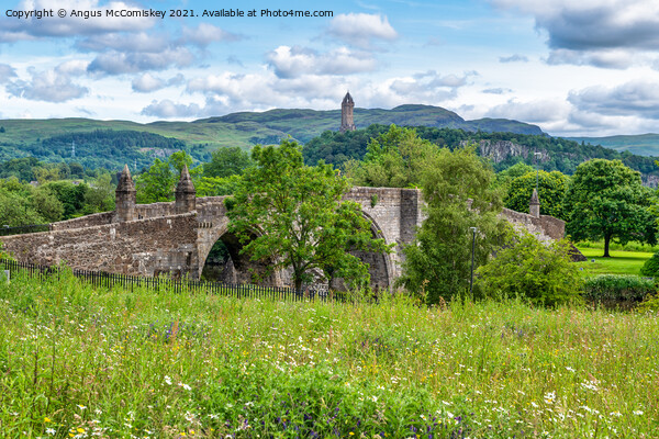 Old Stirling Bridge and Wallace Monument Picture Board by Angus McComiskey