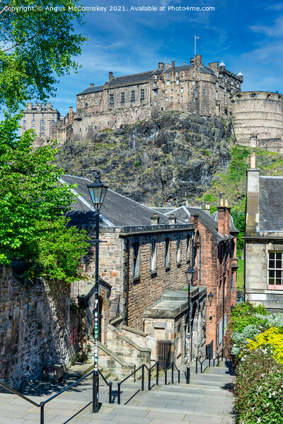 The Vennel and Edinburgh Castle Picture Board by Angus McComiskey