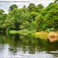 Buy canvas prints of Grasmere summer reflections by Angus McComiskey