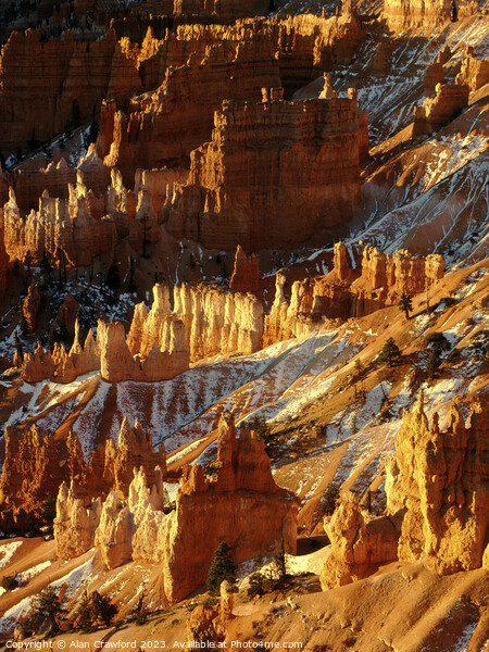 Sunrise at Bryce Canyon, Utah Picture Board by Alan Crawford