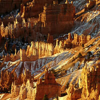 Buy canvas prints of Sunrise at Bryce Canyon, Utah by Alan Crawford