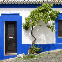 Buy canvas prints of House Front, Portugal by Alan Crawford