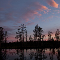 Buy canvas prints of Sunset over the forest in Finland by Alan Crawford
