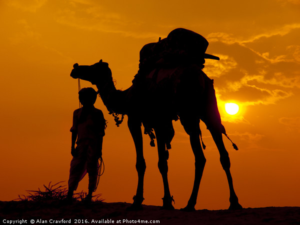 Camel and Minder, India Picture Board by Alan Crawford