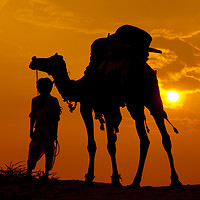 Buy canvas prints of Camel and Minder, India by Alan Crawford