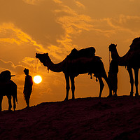 Buy canvas prints of Camels and minders in silhouette, India by Alan Crawford