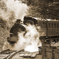 Buy canvas prints of Steam Train on the Tanfield Railway by Alan Crawford