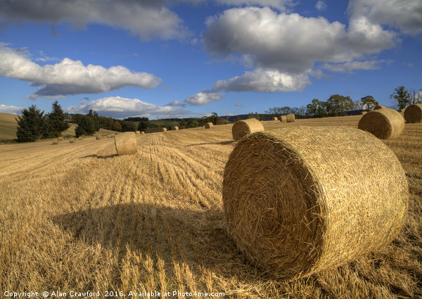 Make Hay While the Sun Shines Picture Board by Alan Crawford